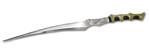 Eragon The Sword of Arya Eragon The Sword of Arya
