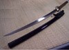 Cheness Shobu Zukuri - Ayami 9260 Spring Steel Katana (Ayame-9260)