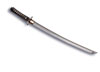 Cold Steel Sword - Warrior Wakizashi (88BWW)